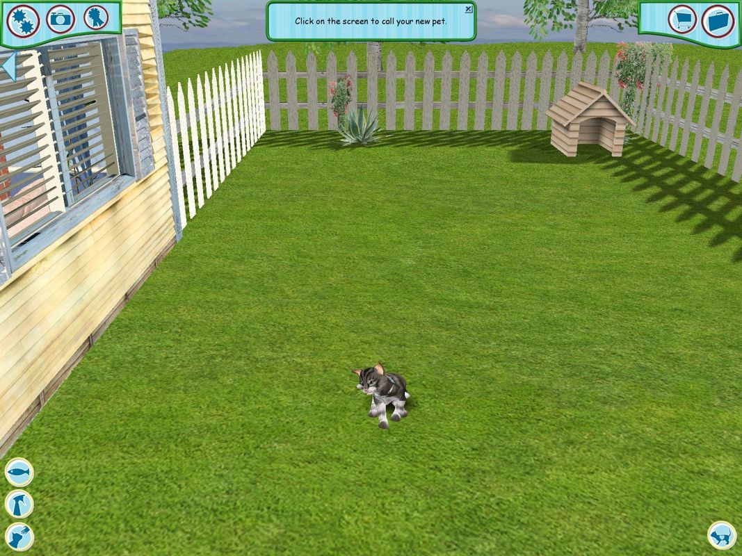 Catz (Windows) screenshot: Mobycat is now officially real. Here he is in the back yard at the start of the game. It's important to click on the screen to call him over and begin bonding.