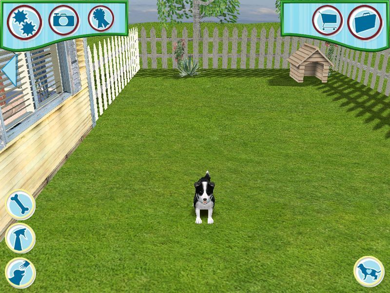 Dogz (Windows) screenshot: The start of the game. Mobydog is in the back yard.