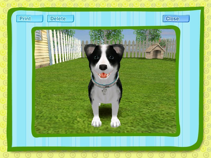 Dogz (Windows) screenshot: The camera icon in the top left of the screen is used to take snapshots of the pet. These can be saved in an album and optionally printed.