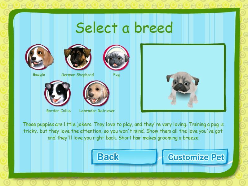 Dogz (Windows) screenshot: These are the five breeds available for adoption. Each has its own characteristics and problems such as long hair and slobbering.