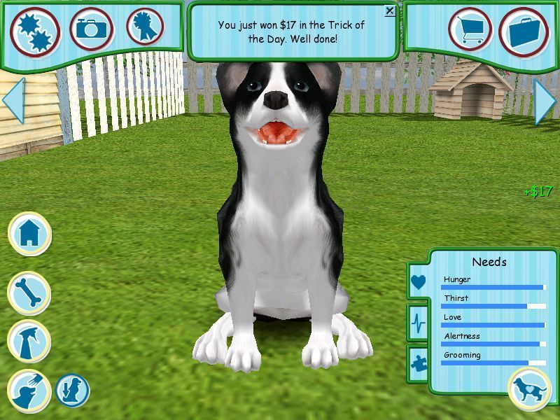Dogz (Windows) screenshot: Back in the yard. Mobydog's photo won $17. Winning shows and performing tricks are how the player generates cash to feed their pet and upgrade the house.