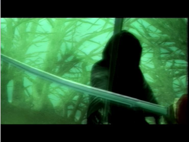 The Lord of the Rings: The Third Age (PlayStation 2) screenshot: An unknown sword intervenes...