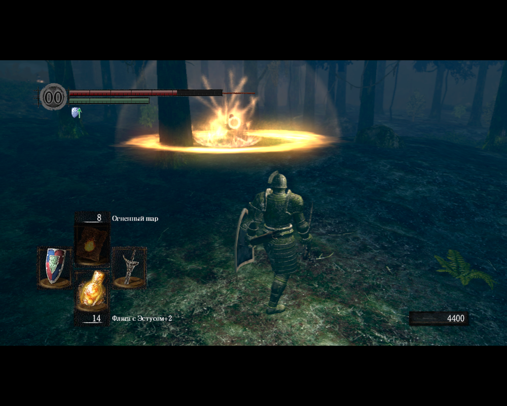 Dark Souls: Prepare to Die Edition (Windows) screenshot: Encountered a sorcerer in Darkroot Garden
