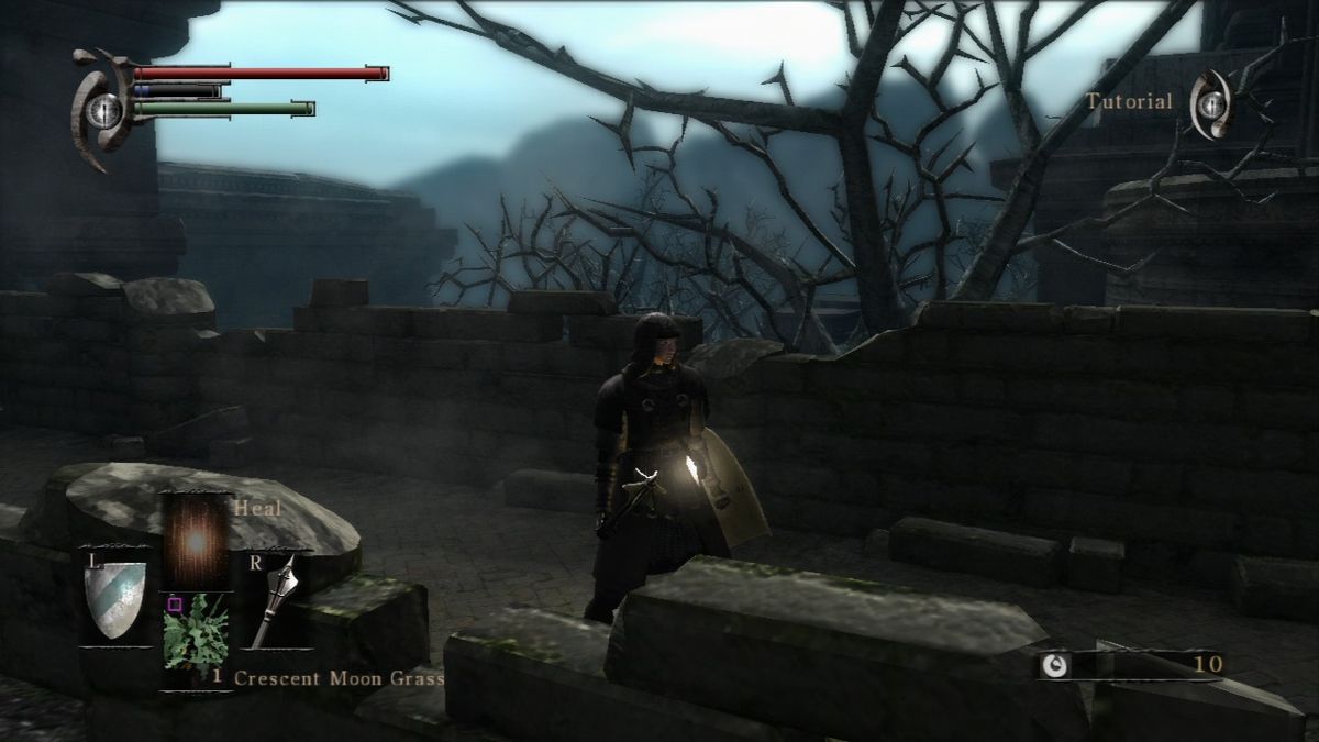 Demon's Souls (PlayStation 3) screenshot: You can rotate the camera to get the better image of your surroundings.