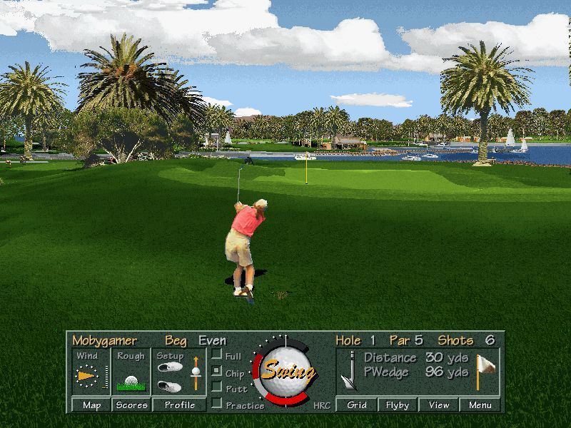 Golf Pro 2000 Downunder (DOS) screenshot: The player animations are smooth and fluid when the player takes their shot and when they celebrate afterwards