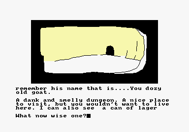 Wiz Biz (Amstrad CPC) screenshot: What now?