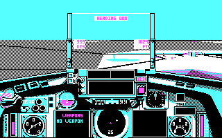 Strike Aces (DOS) screenshot: Free Flight (CGA)