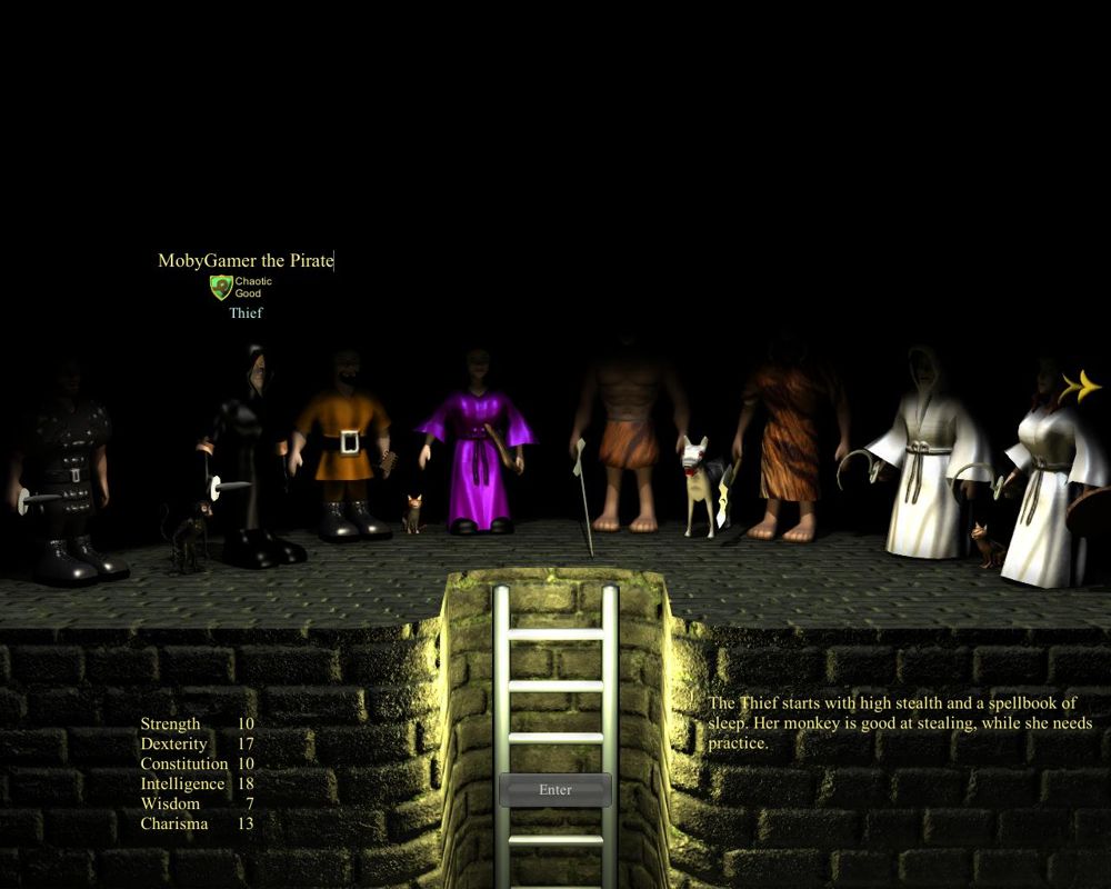 WazHack (Windows) screenshot: Character selection 2 - From left to right: Rogue (m), Thief (m), Bard (m), Bardess (f), Barbarian (m), Vandal (f), Druid (m), and Druidess (f).