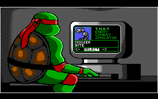 Teenage Mutant Ninja Turtles: Manhattan Missions (DOS) screenshot: Choose the Opponent to Train (EGA)