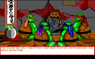 Teenage Mutant Ninja Turtles: Manhattan Missions (DOS) screenshot: Training Screen (EGA)