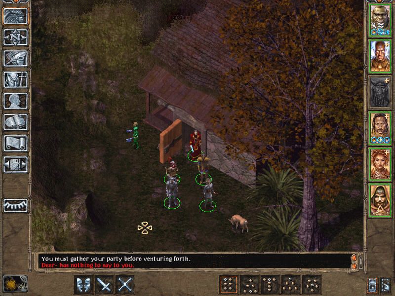Baldur's Gate II: Throne of Bhaal (Windows) screenshot: One of the game's peaceful areas. I try talking to a deer...