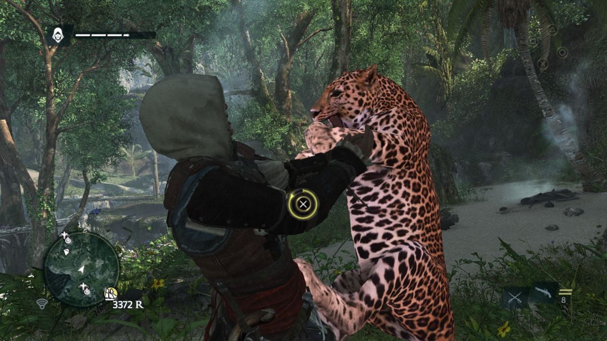 Assassin's Creed IV: Black Flag (PlayStation 4) screenshot: When the hunt for wild animals goes awry, it's time for quick-time events.