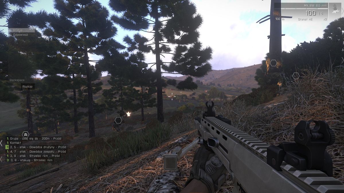 Arma III (Windows) screenshot: Forest gives great cover from enemy fire