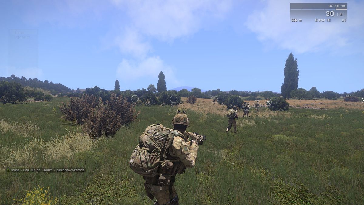 Arma III (Windows) screenshot: Moving in formation