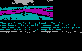 Treasure Island (DOS) screenshot: A fork in the road