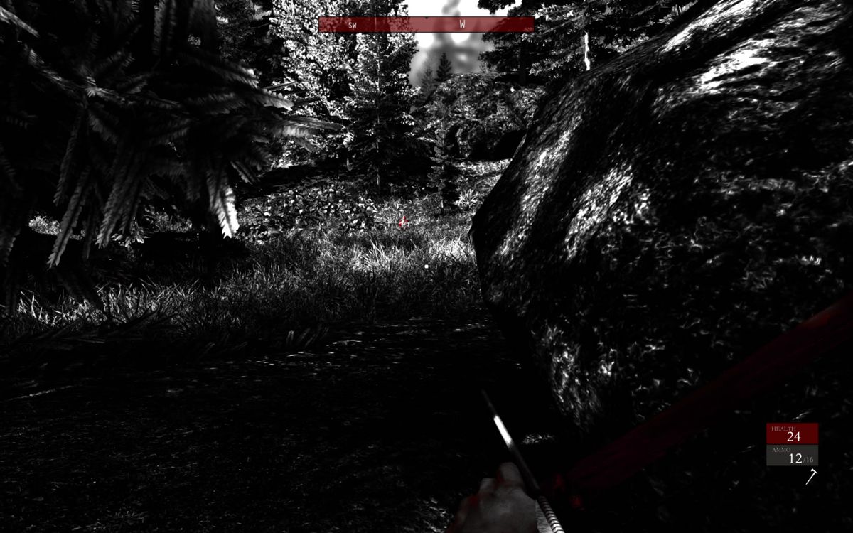 Betrayer (Windows) screenshot: Sneaking up on an enemy in the distance.