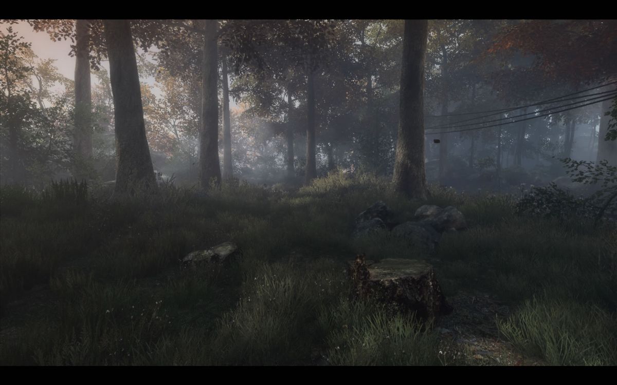 The Vanishing of Ethan Carter (Windows) screenshot: Travelling through the woods.