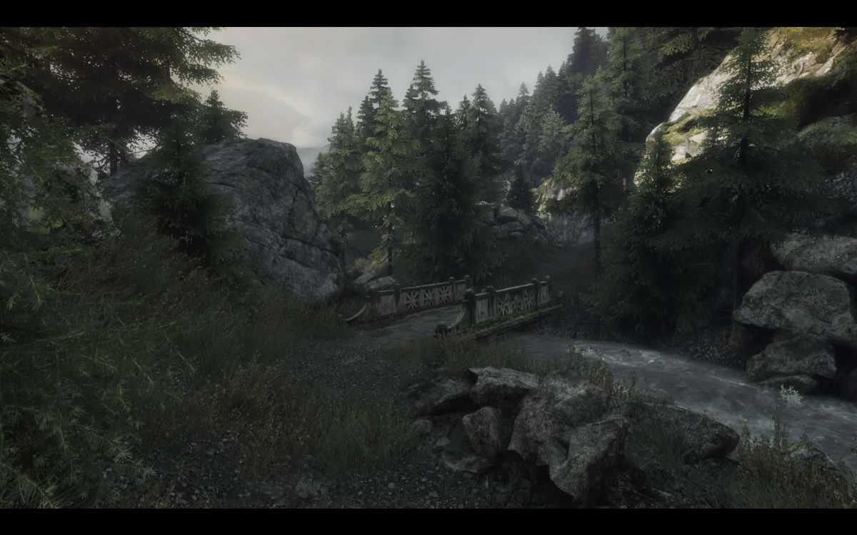 The Vanishing of Ethan Carter (Windows) screenshot: A small bridge leading further into the forest.