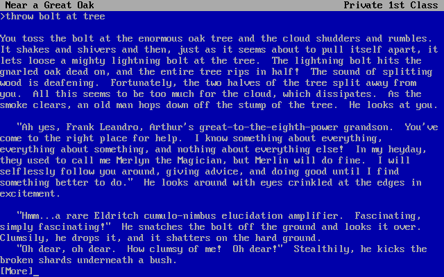 Once and Future (DOS) screenshot: Encountering Merlyn the Magician.