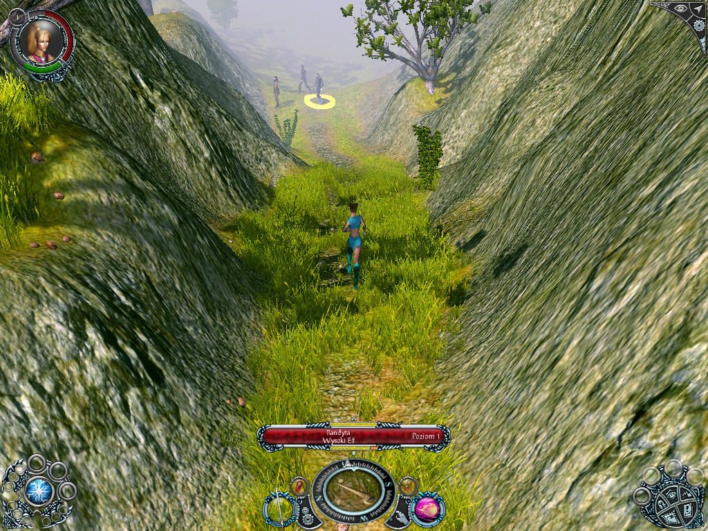 Sacred 2: Fallen Angel (Windows) screenshot: Narrow road
