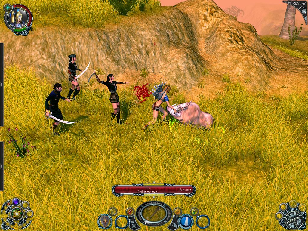 Sacred 2: Fallen Angel (Windows) screenshot: Wild boar