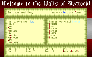 The Walls of Bratock (DOS) screenshot: Creating a character.