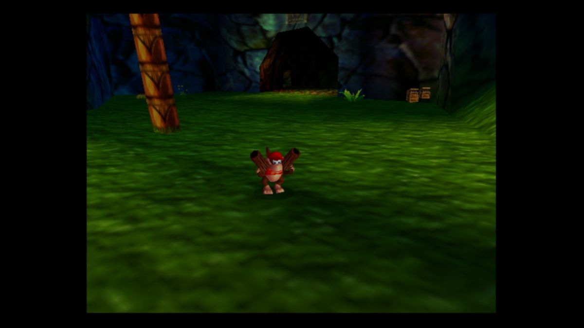Donkey Kong 64 (Wii U) screenshot: Guns are a thing in this game
