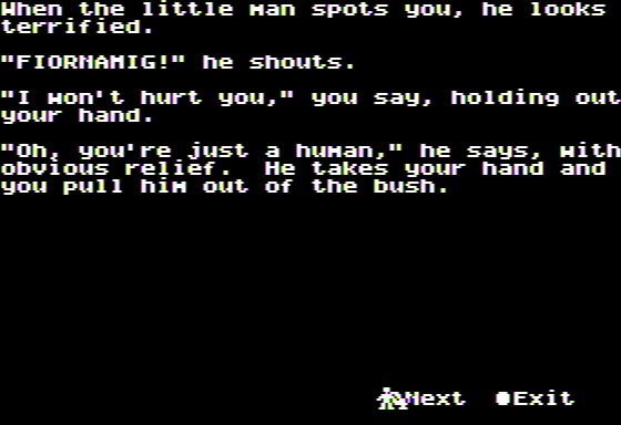Microzine #26 (Apple II) screenshot: The Wizard of Darkling Wood - Meeting my Elf Companion