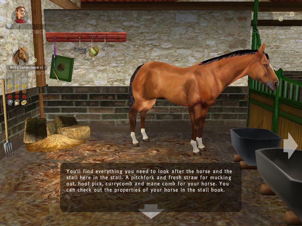Let's Ride: Dreamer (Windows) screenshot: This is the area where the player tends to their horse (UK release)