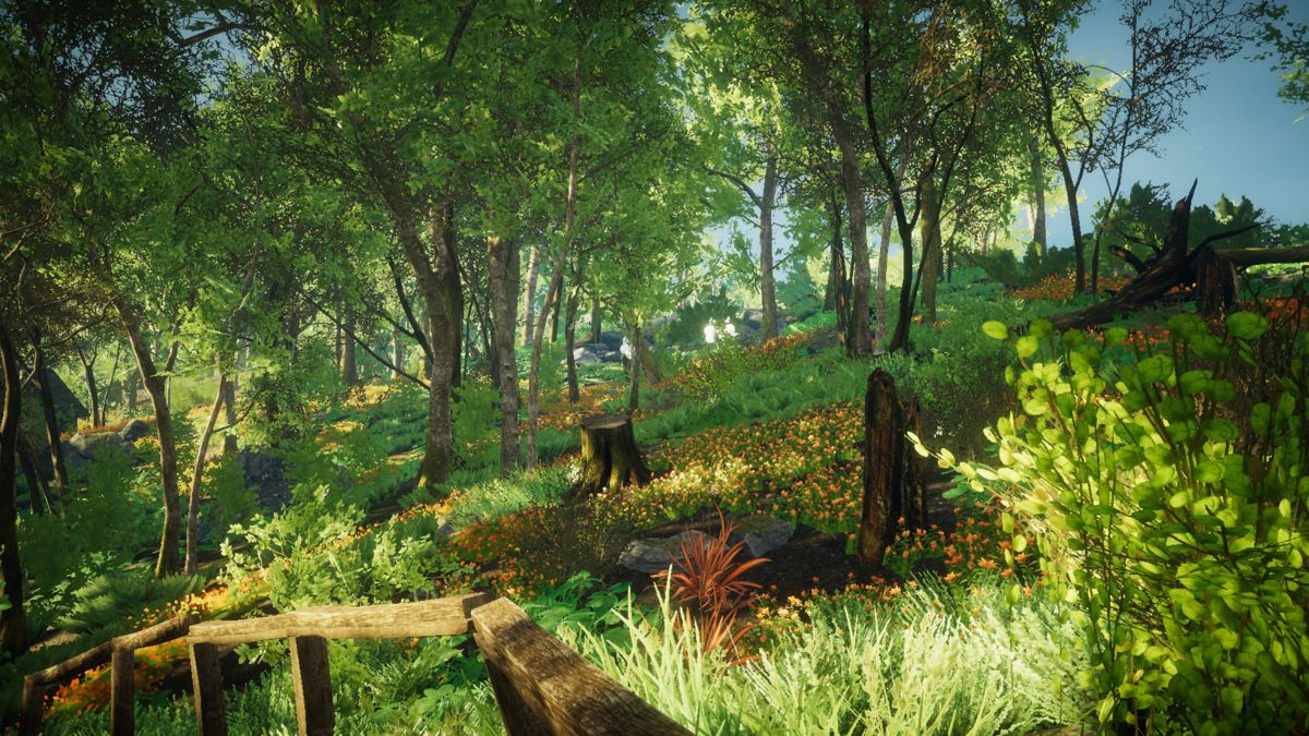 Eastshade (Windows) screenshot: In the woods