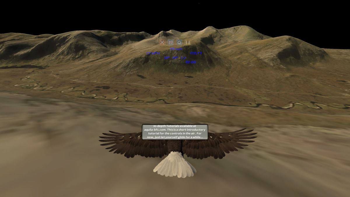 Aquila Bird Flight Simulator (Windows) screenshot: The game starts in level flight with pleasant ambient music and the feint sound of the wind rushing past. <br><br>Demo version