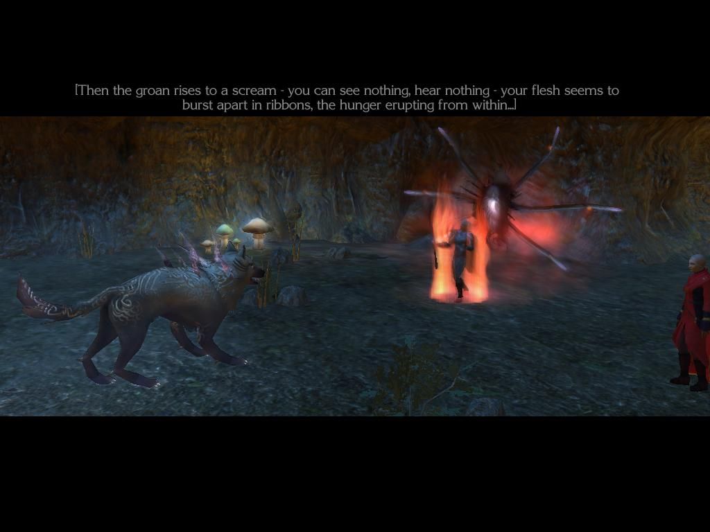 Neverwinter Nights 2: Mask of the Betrayer (Windows) screenshot: What's happening??