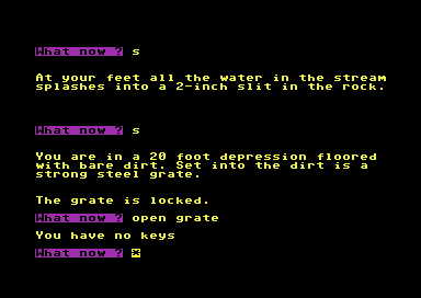 Colossal Cave Adventure (Commodore 64) screenshot: The grate won't open