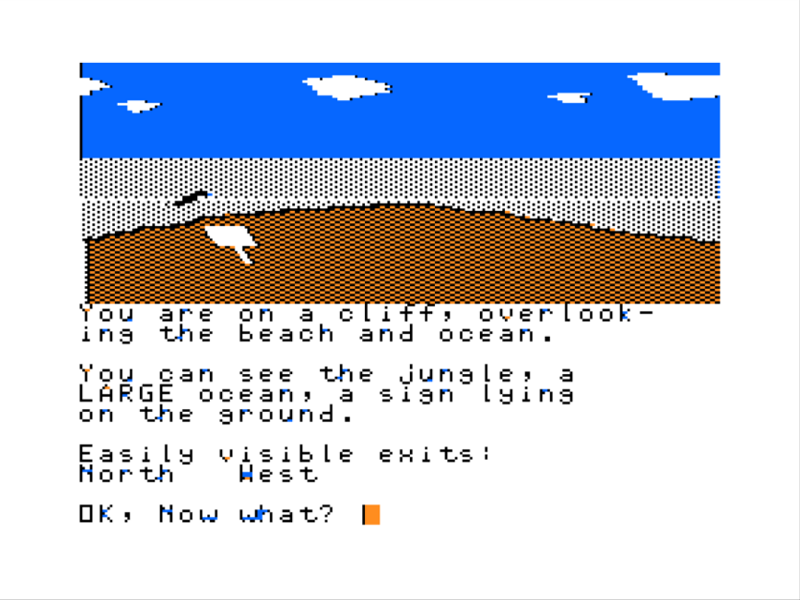 Blackbeard's Island (TRS-80 CoCo) screenshot: By a Cliff