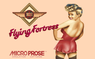 B-17 Flying Fortress (DOS) screenshot: B-17 Flying Fortress.