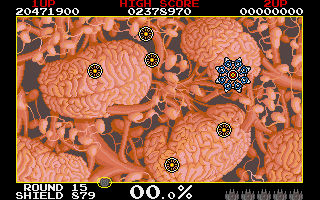Volfied (DOS) screenshot: And, of course, a huge brain.