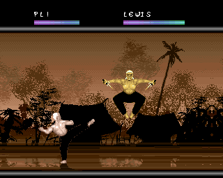 Full Contact (Amiga) screenshot: Fight with Lewis