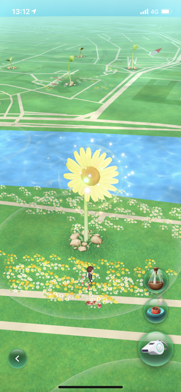 Pikmin Bloom (iPhone) screenshot: You'll have to plant a certain number of flowers in the circular area to cause the big flower to bloom.