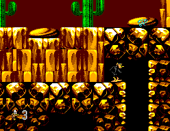 Daffy Duck in Hollywood (SEGA Master System) screenshot: Entering the caves