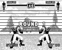 Fighters Megamix (Game.Com) screenshot: Mirror Match