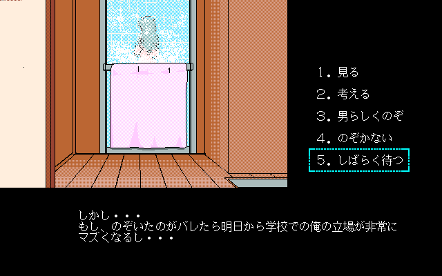 Vision (PC-98) screenshot: So you offer her to take a warm shower at your place