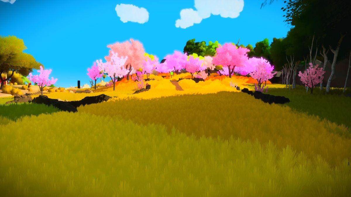 The Witness (PlayStation 4) screenshot: Lush fields