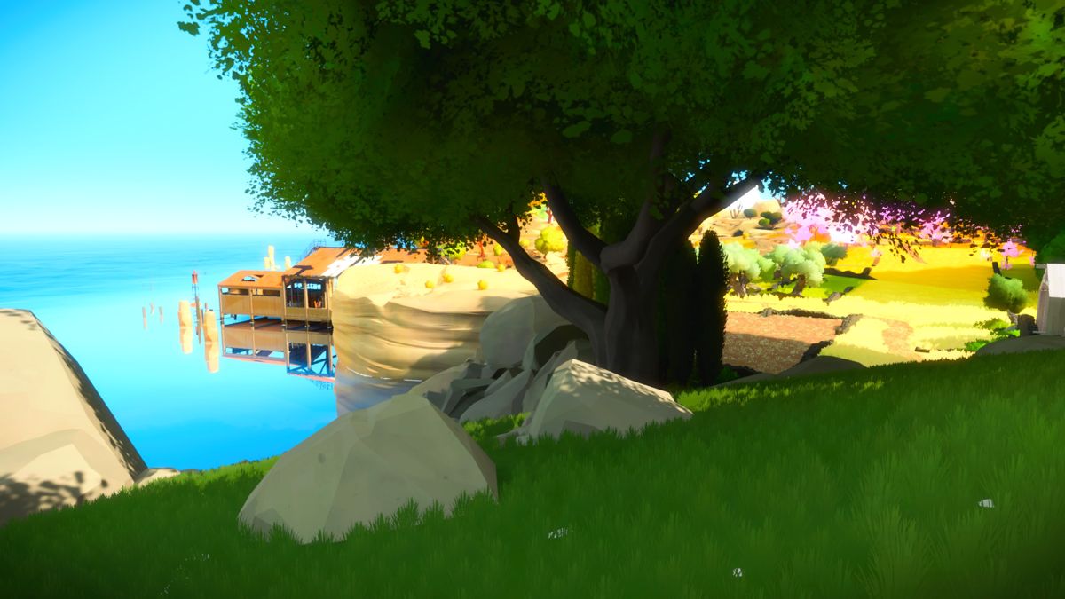 The Witness (PlayStation 4) screenshot: Beach house