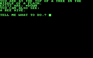 Castle of Skull Lord (Amstrad CPC) screenshot: Standing at the top of a tree.