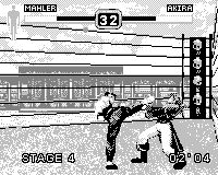 Fighters Megamix (Game.Com) screenshot: Akira kick to the face