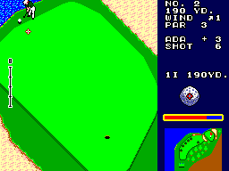 Great Golf (SEGA Master System) screenshot: Close view of the hole area