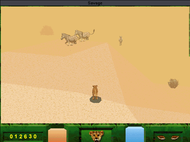 Savage: The Ultimate Quest for Survival (Windows 16-bit) screenshot: Chasing zebras.