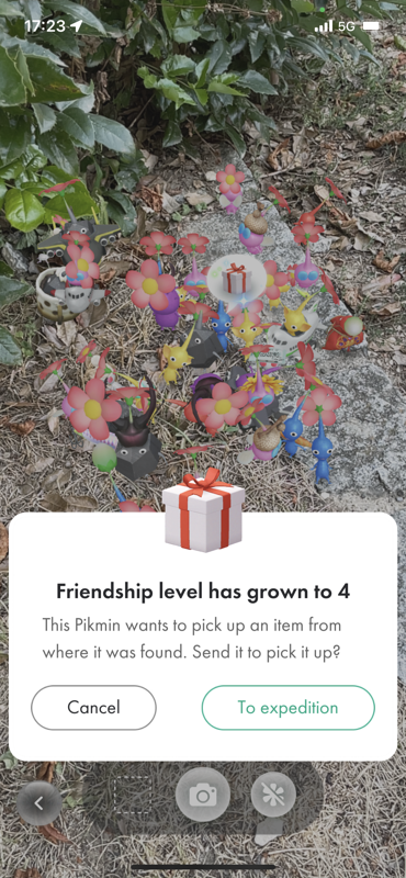 Pikmin Bloom (iPhone) screenshot: My friendship level with that blue Pikmin has reached level 4. It will now pick up a gift from its place of origin.