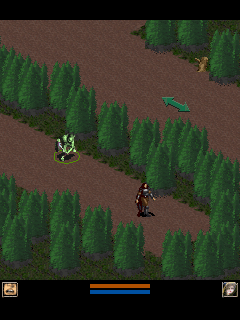 Baldur's Gate (J2ME) screenshot: Starting area