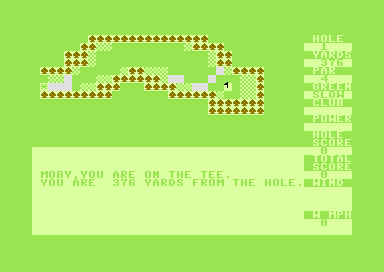 Pro Golf (Commodore 64) screenshot: On the Tee